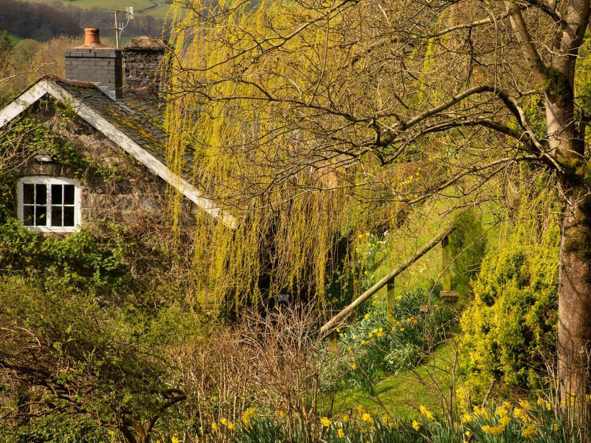 Dolgenau Cottages Trefeglwys 외부 사진